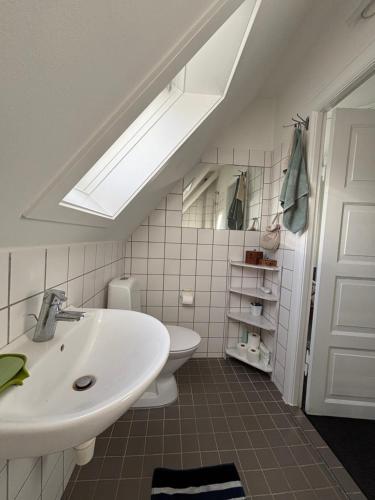 a bathroom with a sink and a toilet and a skylight at Kleiters Bed & Kitchen in Copenhagen