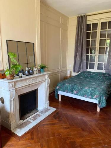 un salon avec une cheminée et un lit dans l'établissement Appartement charmant à Les Andelys - 36 m² avec jardin, aux Andelys