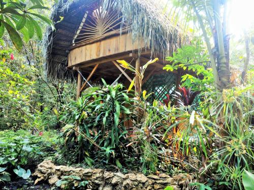 a tree house in the middle of a forest at El Hotelito Perdido in Rio Dulce