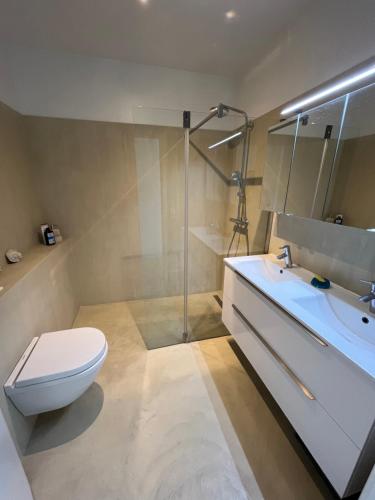 une salle de bain avec toilettes, lavabo et douche dans l'établissement Appt Croix des Gardes Piscine 5 Mn plage, à Cannes