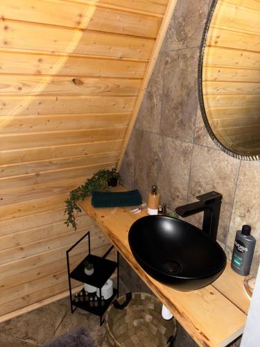 a bathroom with a black sink and a wooden wall at Codrii Doftanei in Teşila