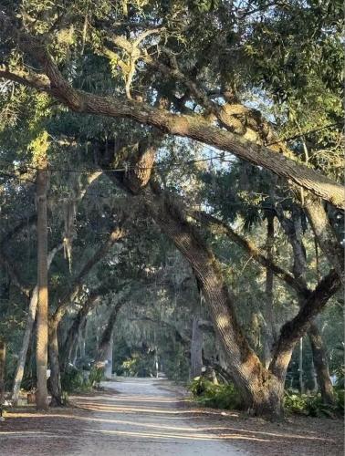 a tree lined road with an arch in the middle at Nirvana Nature's Nook in Palm Coast