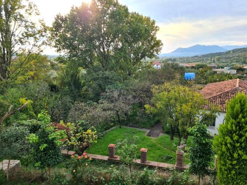 a view of a garden with trees and a house at Hidden Gem Villa in Guri i Zi