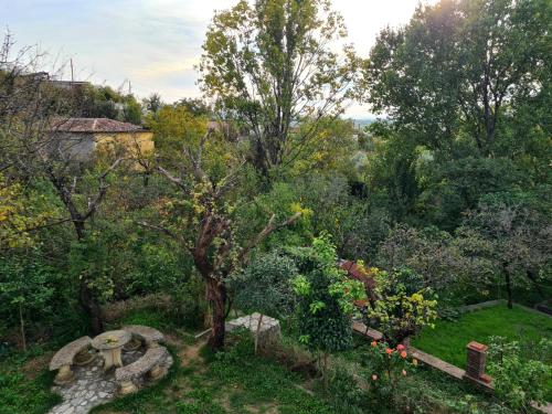 an overhead view of a garden with a tree at Hidden Gem Villa in Guri i Zi