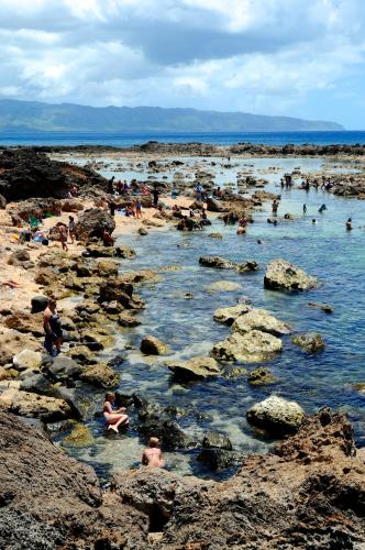 a group of people swimming in the water on a beach at Kalani Hawaii Private Lodging in Pupukea