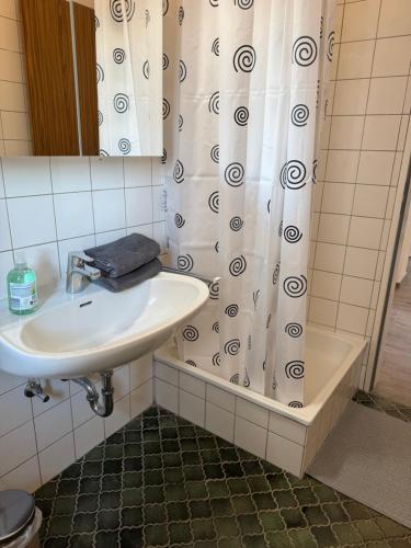 a bathroom with a sink and a shower curtain at Monteurhaus in Bad Rothenfelde in Bad Rothenfelde