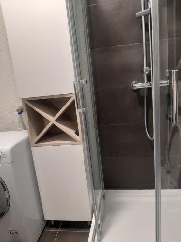a shower with a glass door in a bathroom at Luxury Lamela Bulevar in Sarajevo