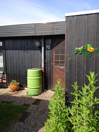 a black shed with a green frog statue in front of it at Vakantiehuis Friedeburg in Warmenhuizen