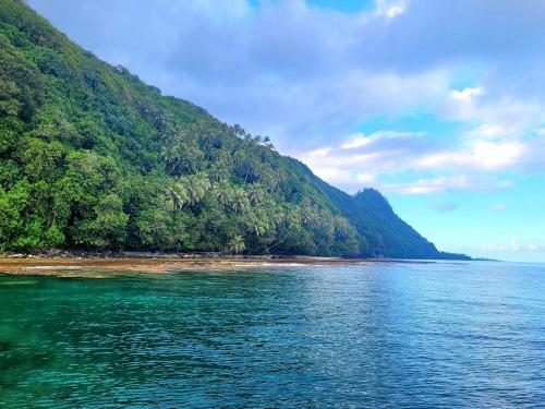 a large body of water next to a mountain at Teahupo'o Lodge Tahiti - Studio Natura - climatisé - entre mer et montagne - paddle et canoe offerts in Teahupoo