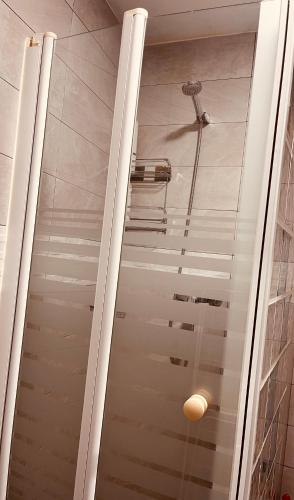 a shower in a bathroom with a ceiling at El Patio de María 2 in Bornos