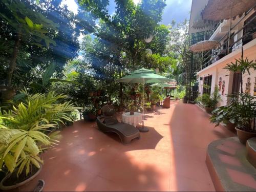 a courtyard with a lot of plants and an umbrella at Private suite close to pools, hot springs, falls and more! in Valencia