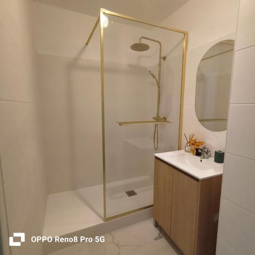 une salle de bain avec douche et lavabo dans l'établissement COSY studio, à Marseille