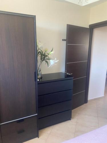 a bedroom with a dresser and a door with a plant at Elani Apartments Lofos Elanis 2 in Kassandria