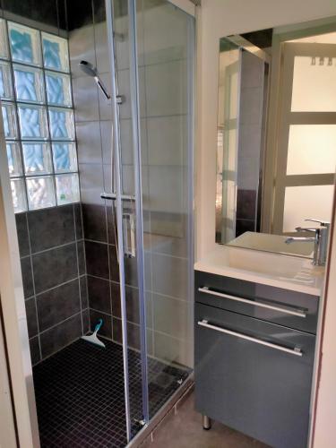 une salle de bain avec douche et lavabo dans l'établissement Très beau studio meublé à louer, à Murat