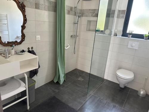 une salle de bain avec douche et toilettes dans l'établissement Villa avec piscine privée Santa Maria Poggio, à Santa-Maria-Poggio