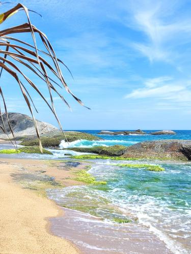 a beach with a palm tree and the ocean at Garnet Yala Beach in Kirinda