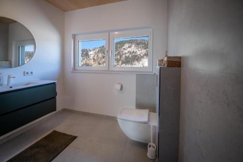 a bathroom with a toilet and a sink and two windows at Alpenappartment Spital am Pyhrn in Spital am Pyhrn