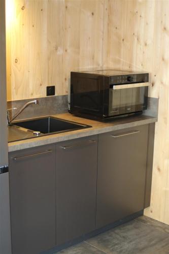 a kitchen with a microwave and a sink at Auvergne, Chalet cinq étoiles en fuste, 6 personnes avec spa, campagne et chevaux in Saint-Jean-en-Val