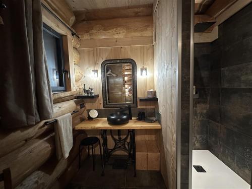 a small bathroom with a sink and a mirror at Auvergne, Chalet cinq étoiles en fuste, 6 personnes avec spa, campagne et chevaux in Saint-Jean-en-Val