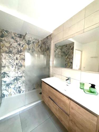 une salle de bain avec un lavabo et une douche dans l'établissement Lovely apartment in Albertville, à Albertville