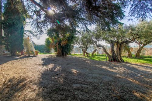 un chemin de terre avec des arbres et une structure en bois dans l'établissement Clos Garrigue, à Poulx