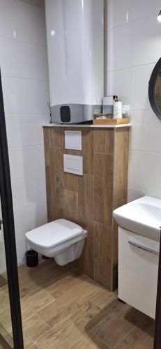 Apartmán Ellisにあるバスルーム