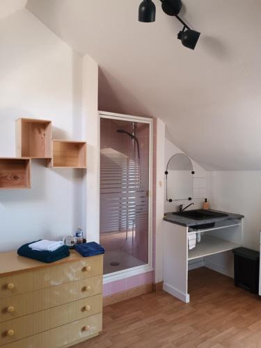 - une cuisine avec un évier et une douche dans la chambre dans l'établissement Les Talvasières, au Mans