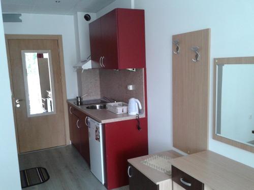 Kuchyň nebo kuchyňský kout v ubytování Apartments Kaloyan