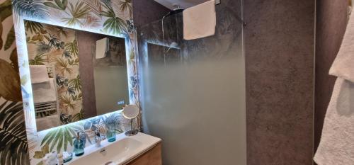 une salle de bain avec un lavabo et un miroir dans l'établissement Maison, au plus prés du centre ville et du Beffroi, 3 chambres et 1 Chambre de bébé, à Béthune