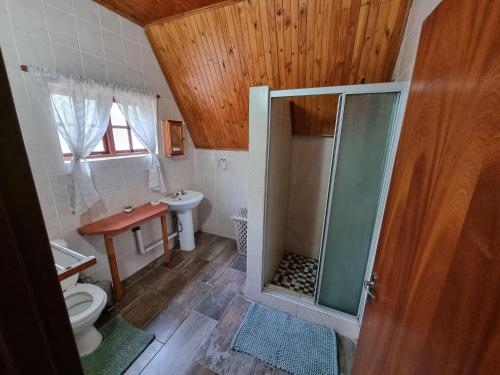 a bathroom with a shower and a toilet and a sink at Ratel Retreat in Marloth Park