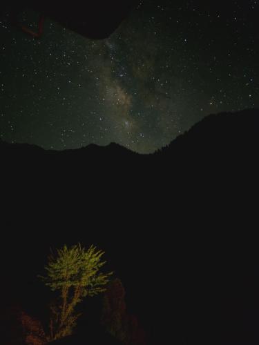 a starry night with a tree and the milky way at Ailyak Stays and Cafe, Shoja, Jibhi in Shoja