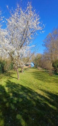 Cabane bleue des Hortillonnages