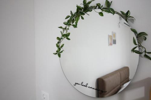 a mirror with a plant on a wall at Villa Reve de Tirana in Tirana