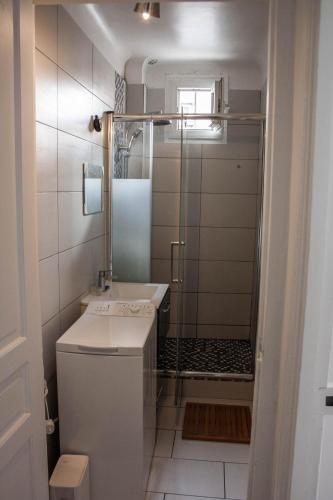 une salle de bain avec douche et lavabo dans l'établissement Charming 45m2 apartment, à Vincennes