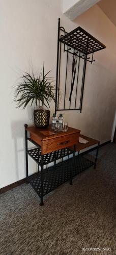 a table with a potted plant on top of it at Hotel Plzeňský Dvůr in Frýdek-Místek