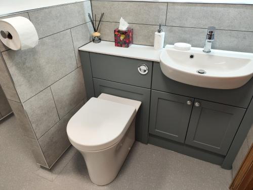 une salle de bain avec toilettes et lavabo dans l'établissement Hunters Lodge, à Norwich