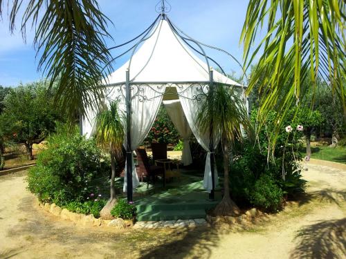 Κήπος έξω από το Villa Sogno Charme E Relax