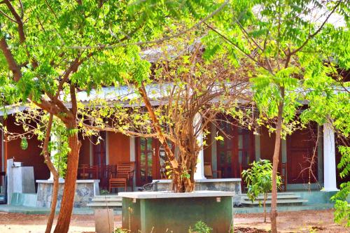 a house with a tree in front of it at Pelican View Cottages in Kataragama