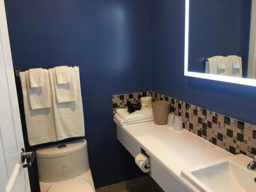 Ένα μπάνιο στο Annapolis Royal Inn & Suites
