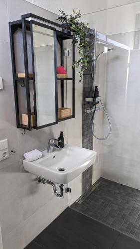 a bathroom with a sink and a mirror and a shower at Ferienwohnung im Kontor Penzlin in Penzlin