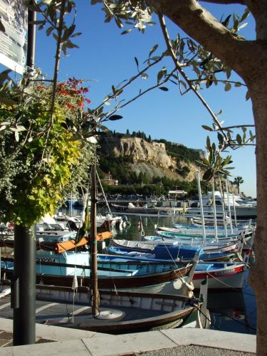 un groupe de bateaux amarrés dans un port dans l'établissement Petit Cocon - Parking - Climatisation - Wifi, à Cassis