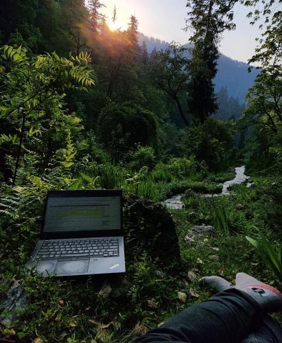 a laptop computer sitting on a rock in a forest at Ailyak Stays and Cafe, Shoja, Jibhi in Shoja