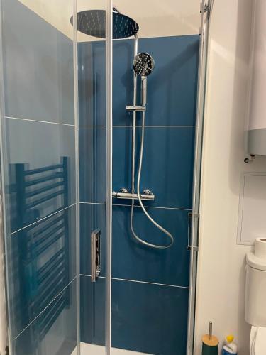une douche avec une porte vitrée dans une salle de bain dans l'établissement Au bout du quai, à Abbeville