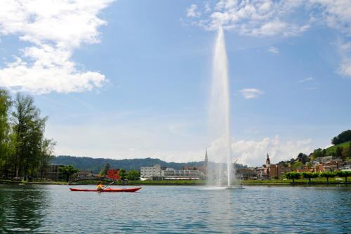 a fountain in the middle of a lake with a boat at SeminarHotel am Ägerisee in Unterägeri