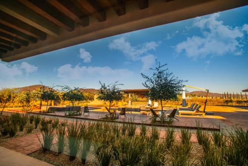 a view of a park with benches and trees at Hotel Flores de Sal-Valle de Guadalupe in Valle de Guadalupe