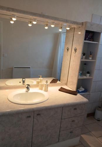 un bagno con lavandino e un grande specchio di La maisonnette a Cléry-Saint-André