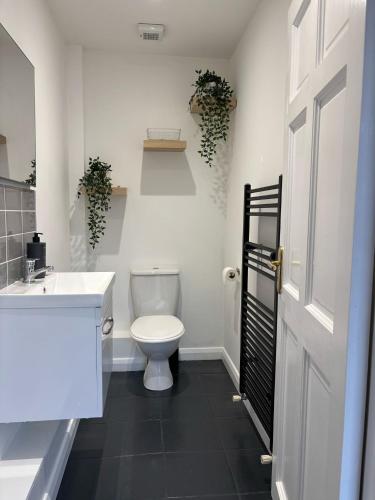 a white bathroom with a toilet and a sink at Town House Creeslough in Creeslough