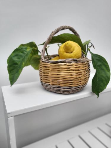 a basket of lemons sitting on a table at L'Agrumeto in Anacapri