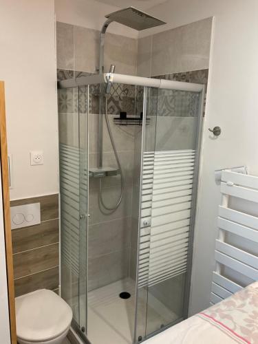 une douche dans une salle de bain avec toilettes dans l'établissement Studio au cœur du village, à Rillieux-la-Pape