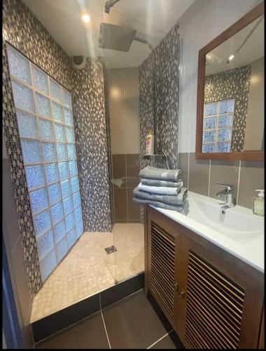 une salle de bain avec une douche avec un lavabo et un miroir dans l'établissement Studio indépendant proche centre et parking, à Clermont-Ferrand